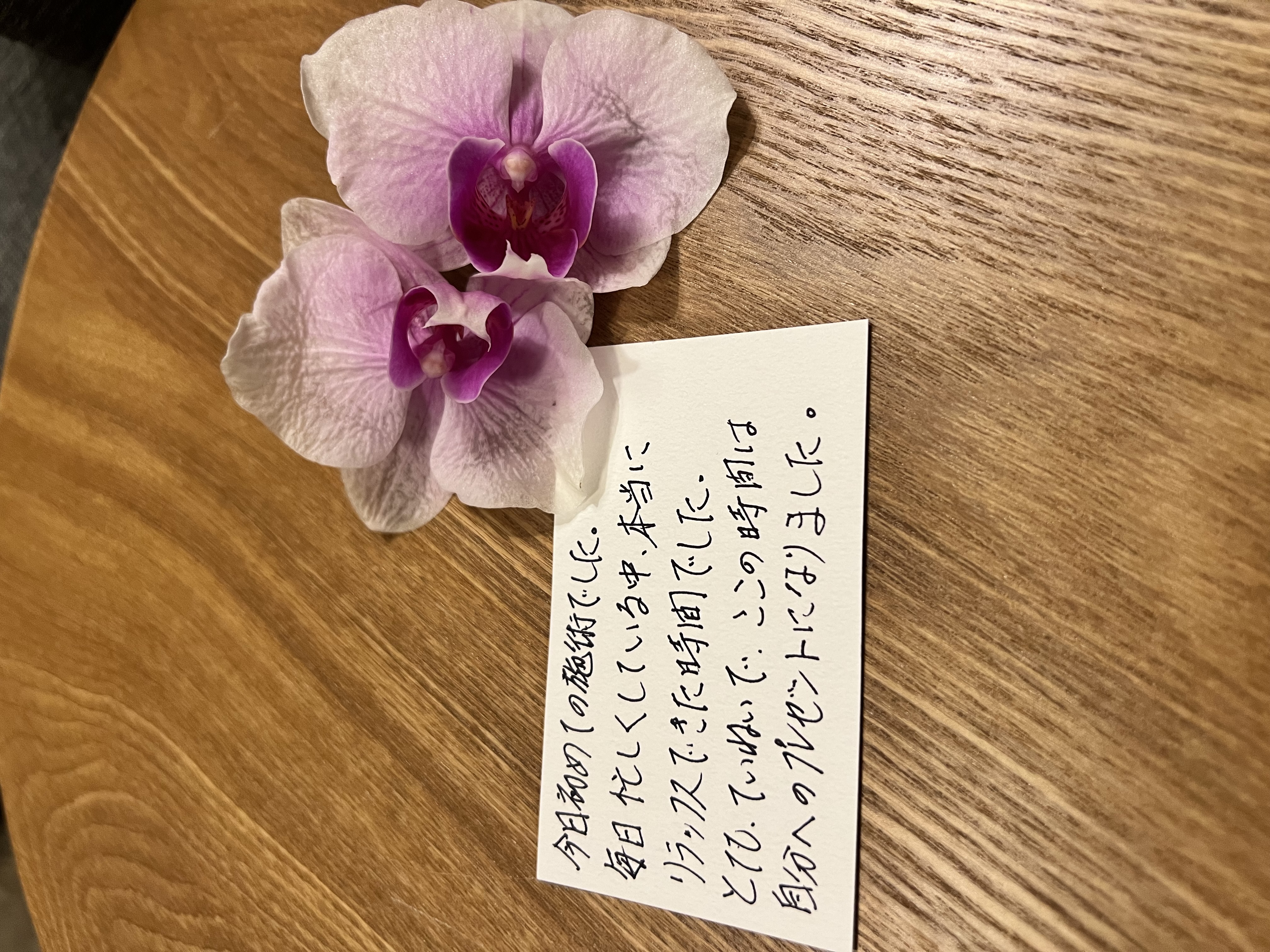 IMG_4532