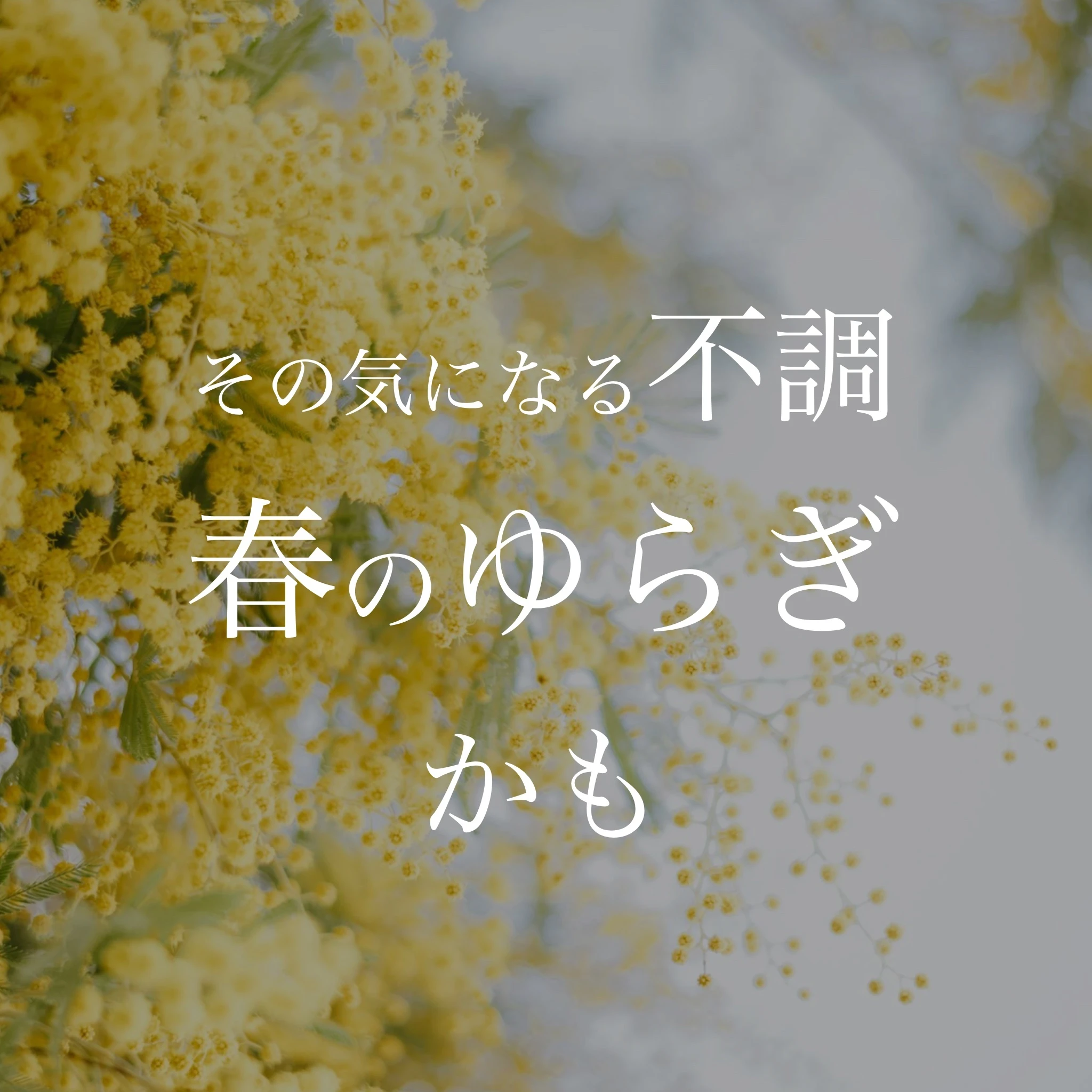 AdobeStock_267069464